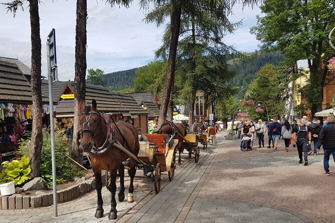 zakopane-and-tatra-mountains-from-krakow-private-tour