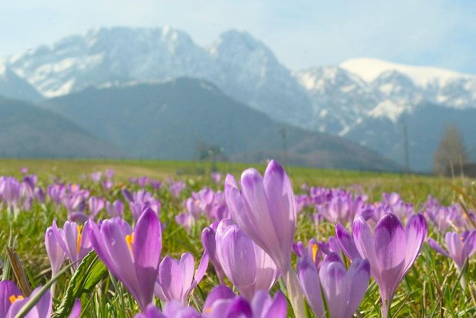 zakopane-and-tatras-mountains-day-tour-from-krakow