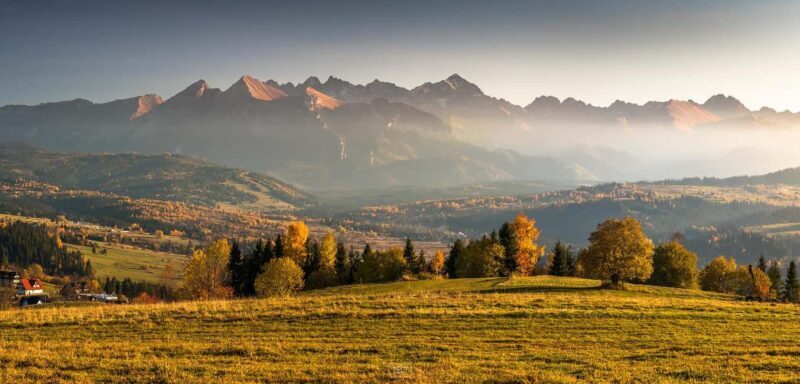 Zakopane Buggy Adventure: OffRoad, Mountain Views & Bonfire - Authenticity and Customer Feedback