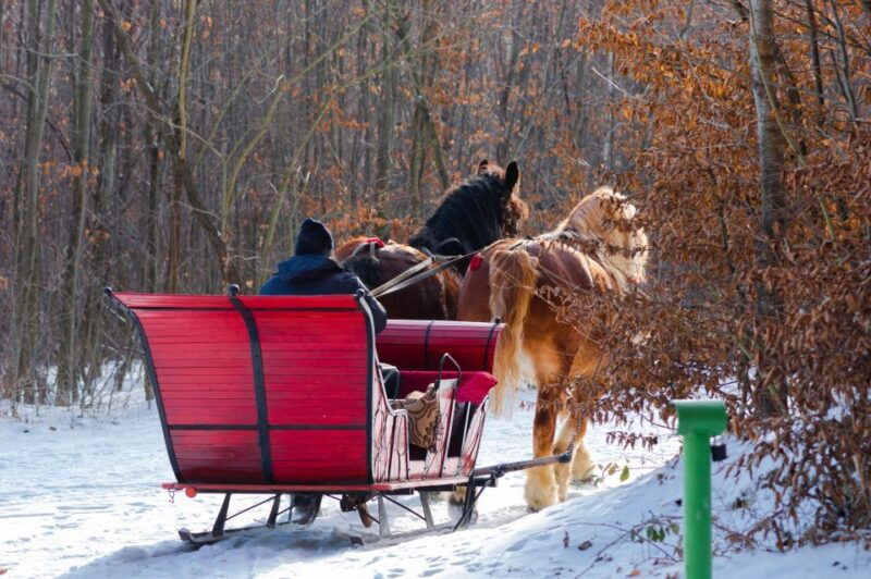 zakopane-horse-drawn-rides-with-local-guide-food-tasting