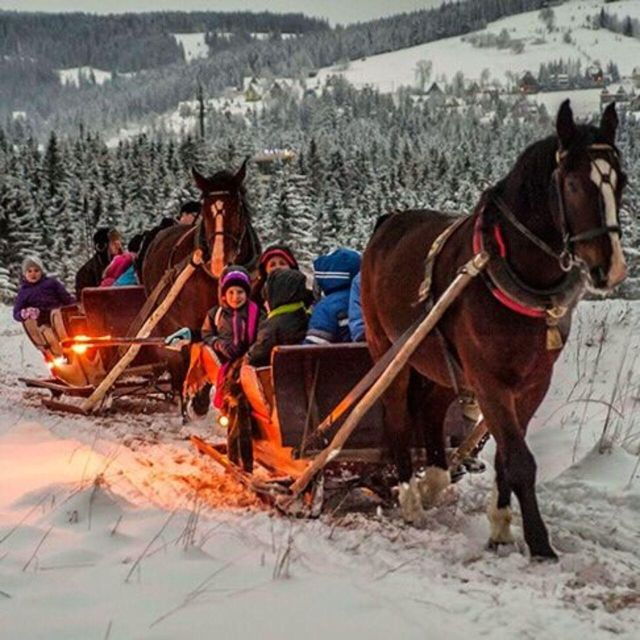 zakopane-horse-drawn-rides-with-local-guide-food-tasting