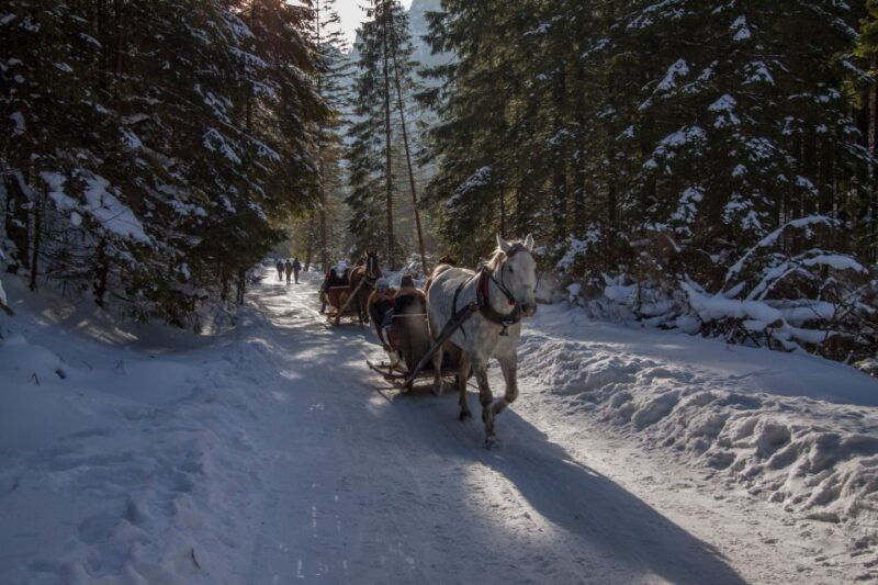 zakopane-horse-drawn-rides-with-local-guide-food-tasting