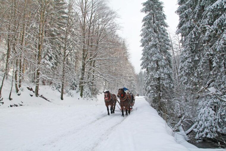 zakopane-horse-drawn-rides-with-local-guide-food-tasting