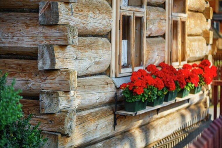 zakopane-hot-springs-trip-from-krakow