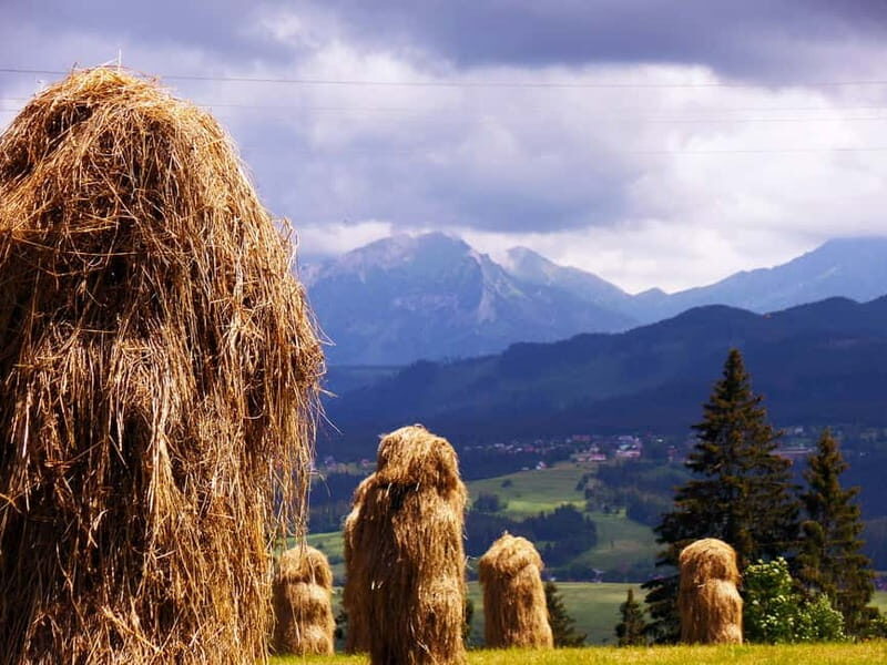 Zakopane Old Town Exclusive Walking Tour with Private Guide - Value and Practicalities