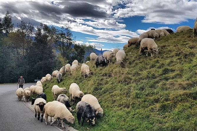 zakopane-private-tour