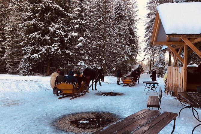zakopane-sleigh-ride-with-bonfire-group-tour-from-krakow