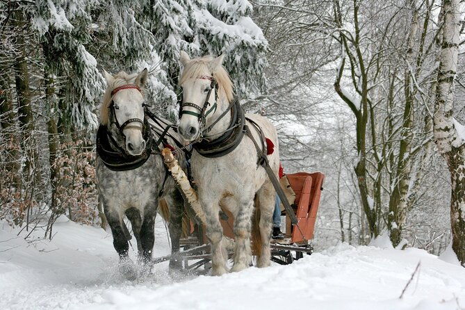 zakopane-sleigh-ride-with-bonfire-group-tour-from-krakow