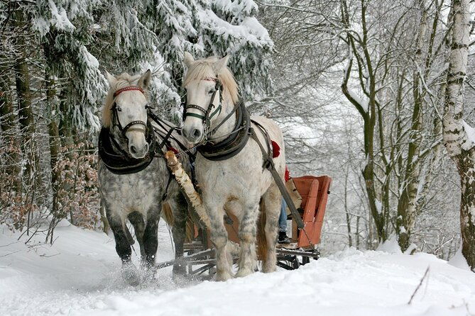 zakopane-sleigh-ride-with-bonfire-private-day-trip-from-krakow