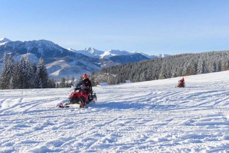 Zakopane: Snowmobiles Expedition and Optional Bonfire - Practical Details: What to Know Before Booking
