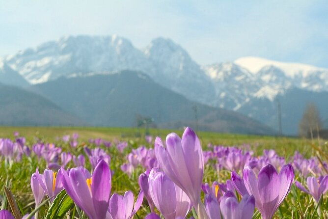 zakopane-tatra-mountains-best-value-shared-tour
