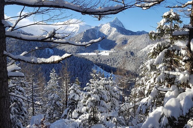 zakopane-the-winter-wonderland-private-tour-from-krakow