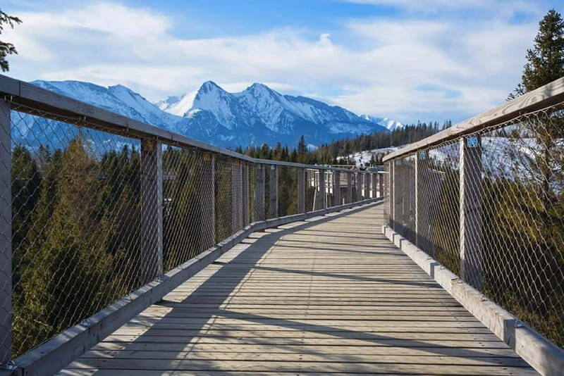 Zakopane: Treetop Walk & Niedzica Castle Private Tour - Key Points