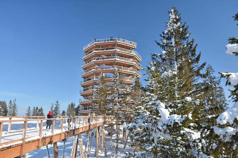 Zakopane: Treetop Walk & Niedzica Castle Private Tour - An In-Depth Look at the Tour Experience