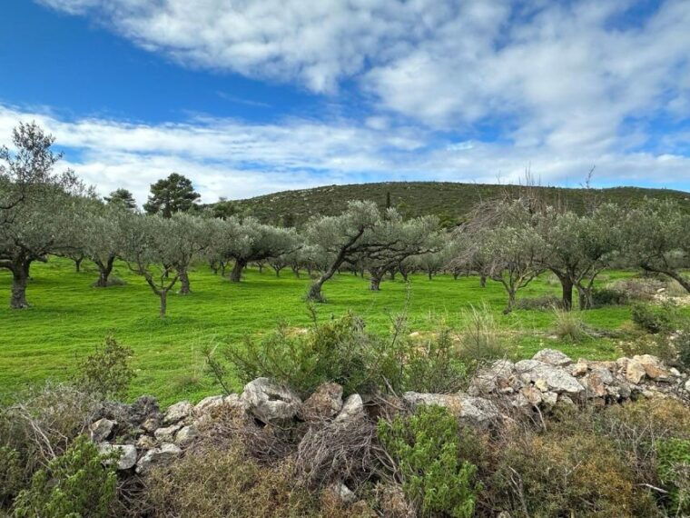 zakynthos-4x4-sunset-safari