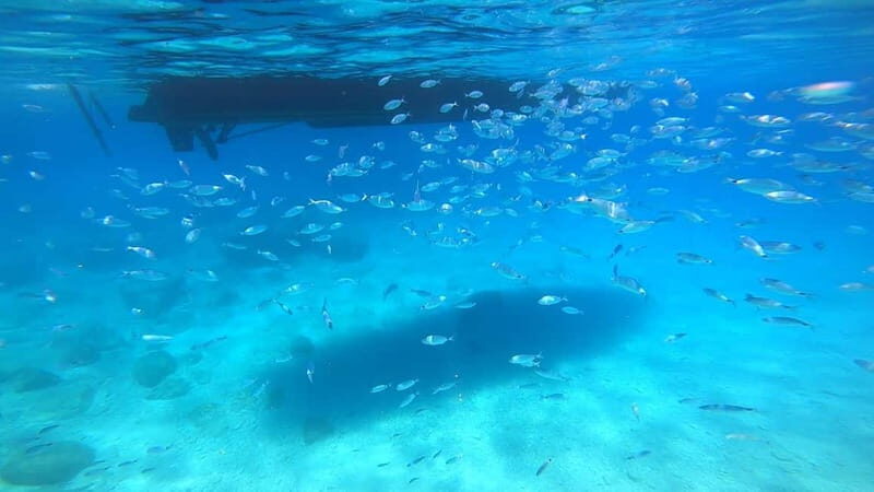 Zakynthos: Blue Caves and Navagio Bay Swim Cruise - Stop 3: Agios Andreas Bay – Second Swim and Relaxation  