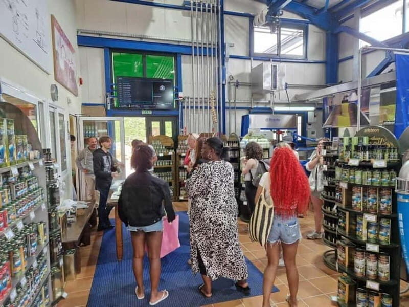 Zakynthos: Discover The Past - Final Thoughts