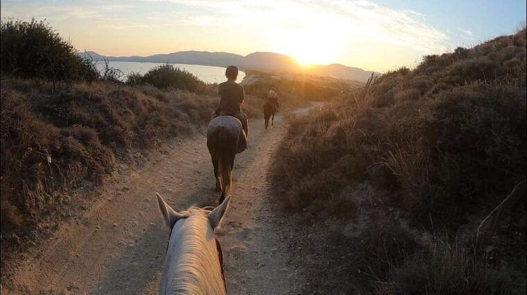 zakynthos-horseback-riding-tour