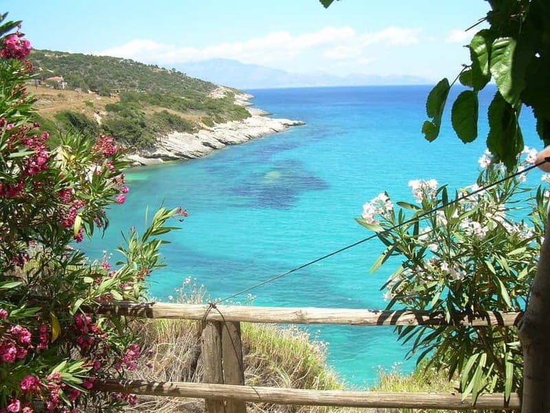 Zakynthos Island: Private Tour in a Minibus - The Sum Up