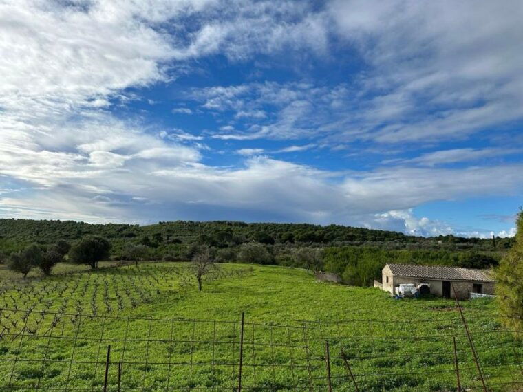 zakynthos-premium-4x4-sunset-escape