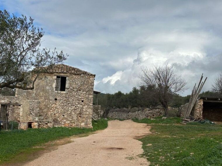 zakynthos-premium-4x4-sunset-escape