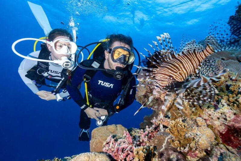 zakynthos-scuba-diving-experience-with-underwater-photos