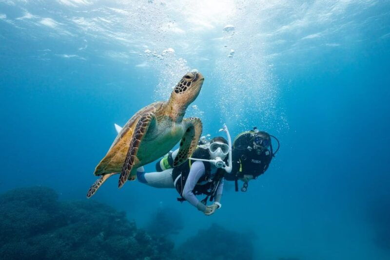 zakynthos-scuba-diving-experience-with-underwater-photos