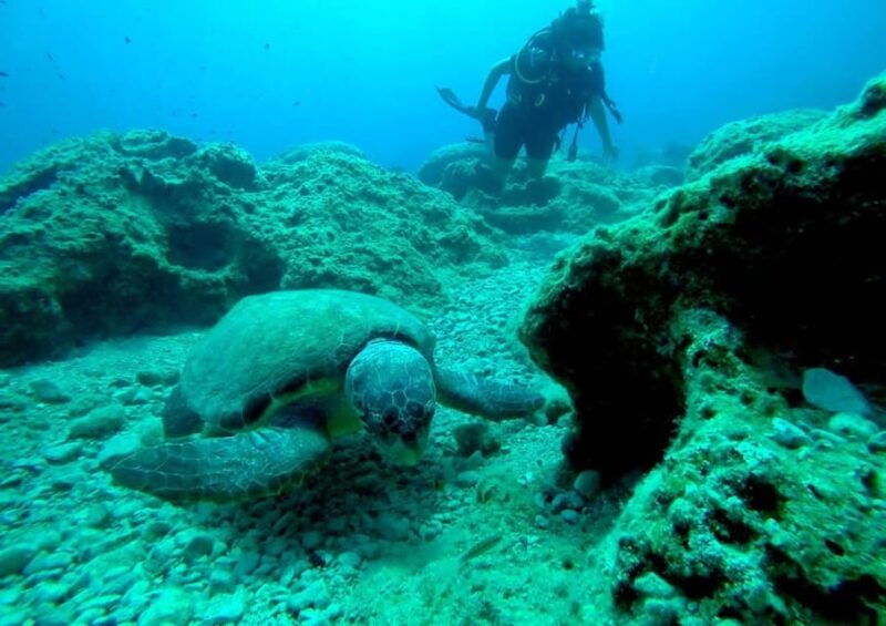 zakynthos-scuba-diving-experience-with-underwater-photos