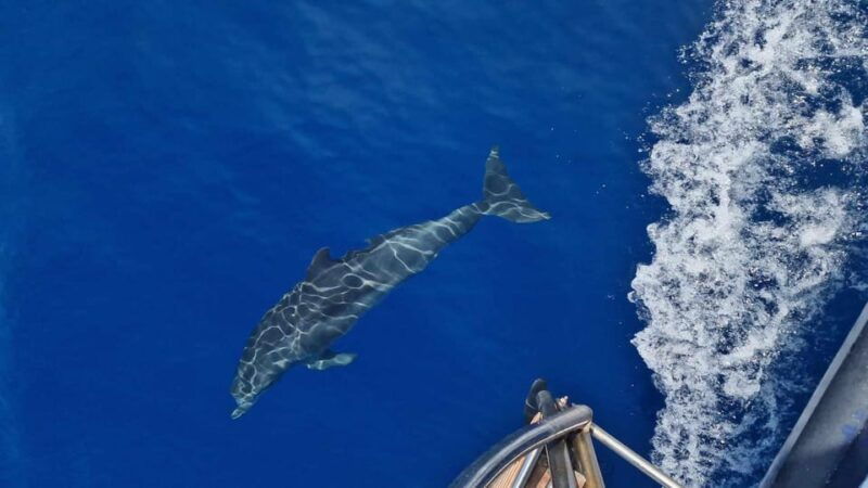 zakynthos-shipwreck-beach-blue-caves-and-xigia-cave-tour