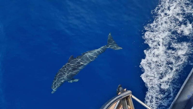 Zakynthos: Shipwreck Beach, Blue Caves & Xigia By Eurosky - Who Is This Tour Best For?