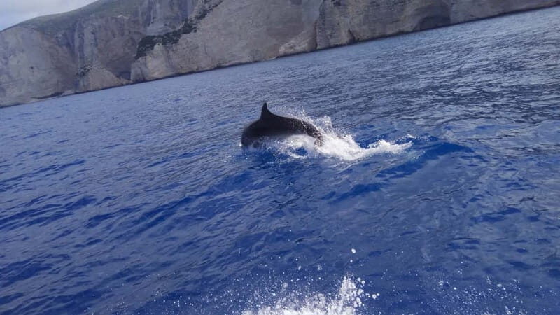 Zakynthos: Shipwreck Beach, Viewpoint, Blue Caves Day Tour - Authentic Customer Experiences