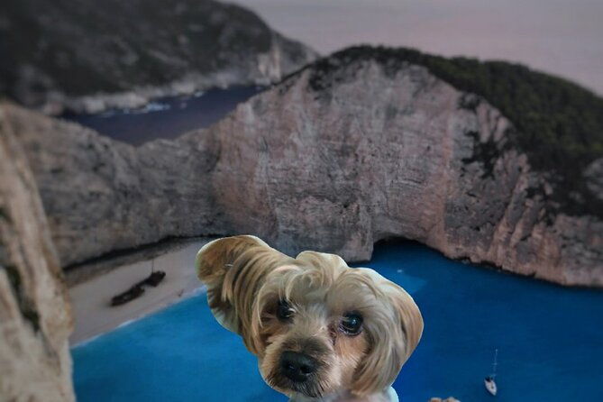 zakynthos-small-group-tour-shipwreck-bay-blue-caves-by-land-sea