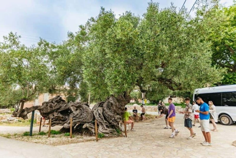 Zakynthos: Sunset Cruise to Mizithres and Agalas Cave - Key Points