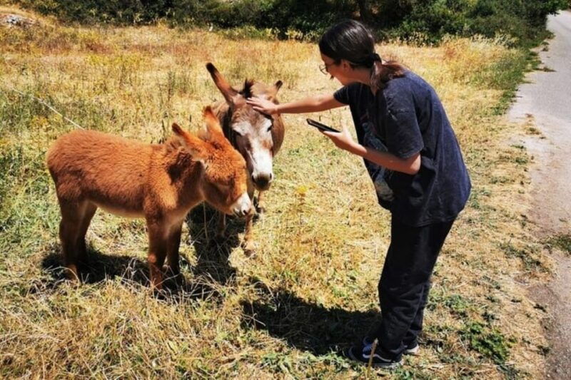 zakynthos-sunset-tour-to-kampi-with-greek-night
