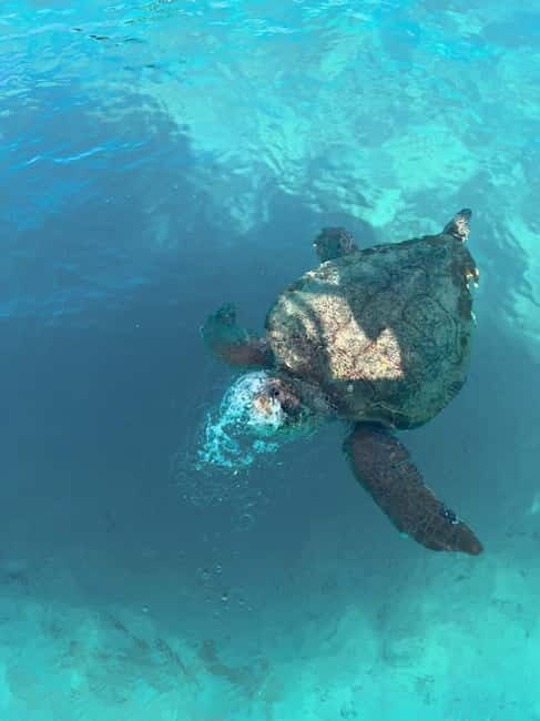 Zakynthos: Turtles, Marathonisi & Keri Caves Speedboat Tour - What’s Not Mentioned (or to Keep in Mind)