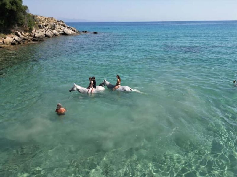 Zakynthos: Yotomu Horse Riding and Swimming Experience - Zakynthos: Yotomu Horse Riding and Swimming Experience – An Authentic Adventure in Greece