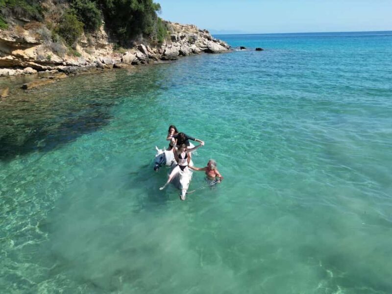Zakynthos: Yotomu Horse Riding and Swimming Experience - Key Points