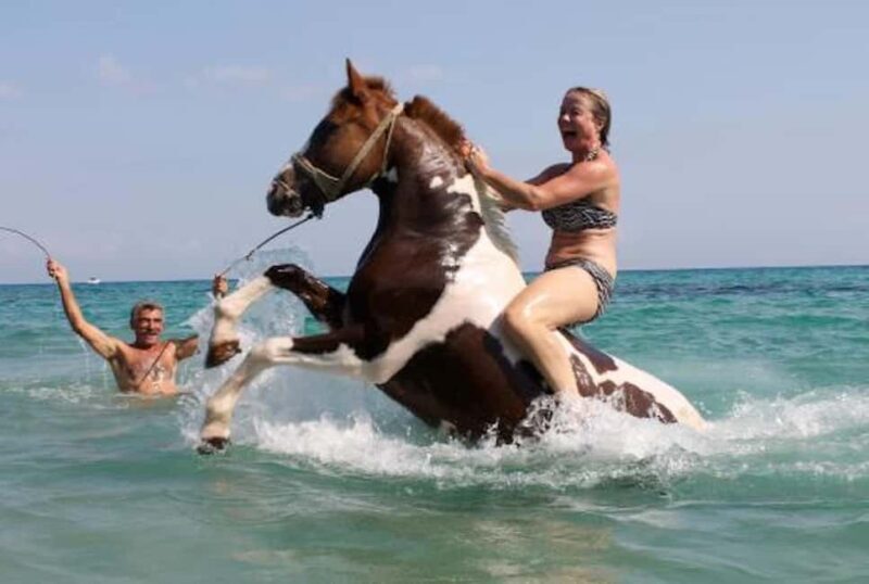 Zakynthos: Yotomu Horse Riding and Swimming Experience - Who Should Consider This Tour?