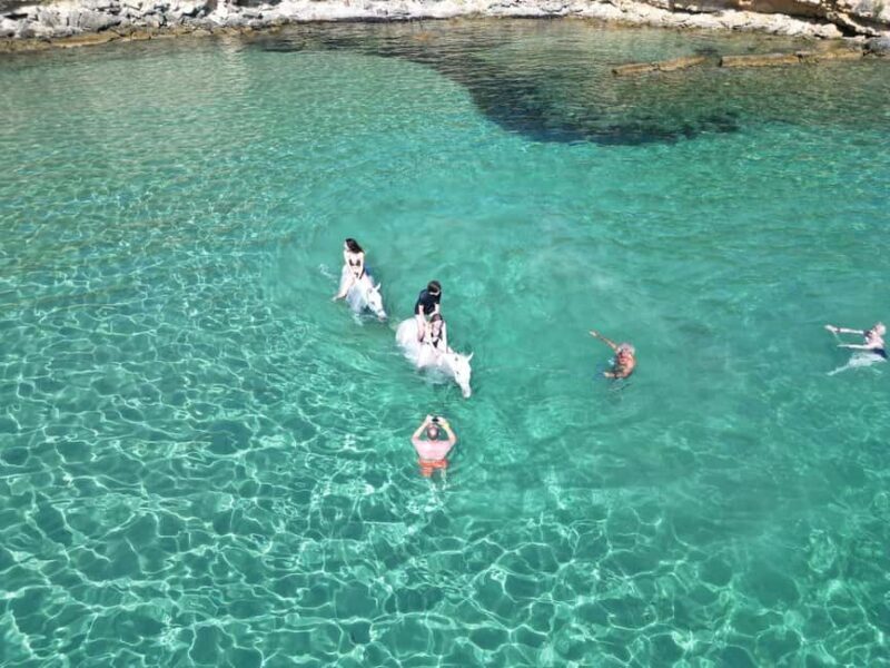 Zakynthos: Yotomu Horse Riding and Swimming Experience - Final Thoughts on the Zakynthos Horse Riding and Swimming Experience