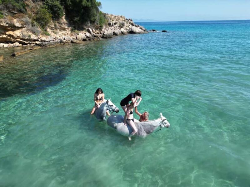 Zakynthos: Yotomu Horse Riding and Swimming Experience - FAQs
