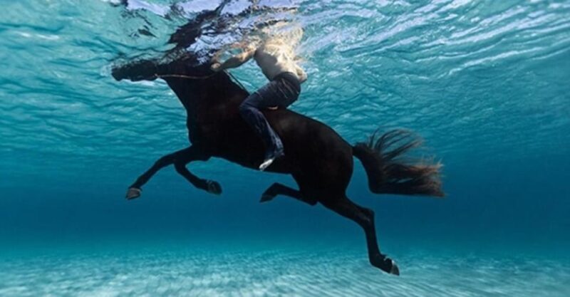 Zakynthos: Yotomu Horseback Riding Tour - An authentic way to explore Zakynthos natural beauty