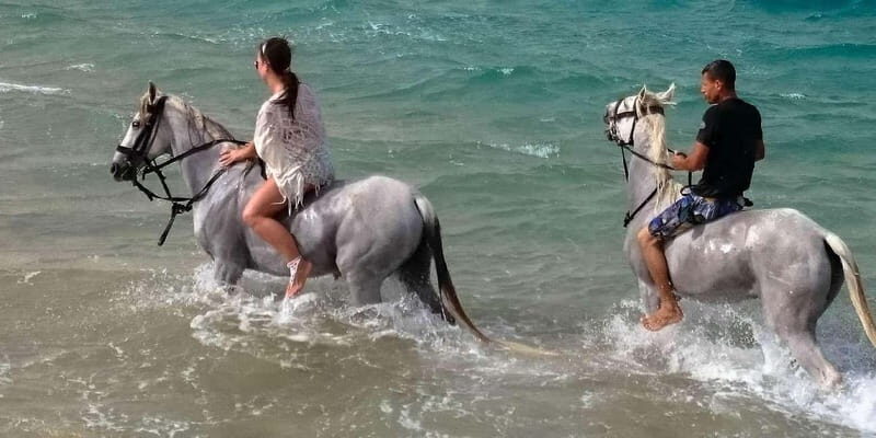 Zakynthos: Yotomu Horseback Riding Tour - Key Points