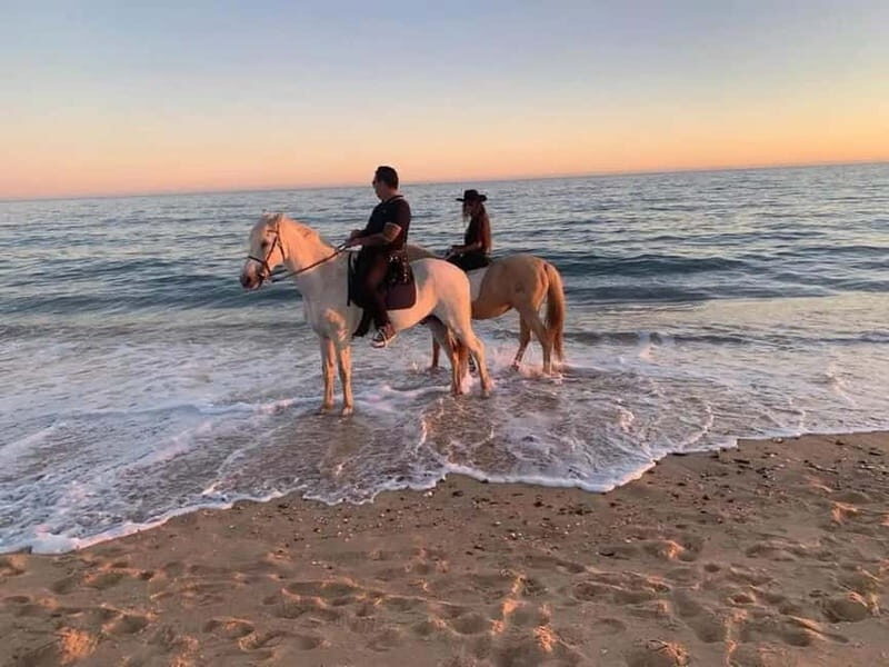 Zakynthos: Yotomu Horseback Riding Tour - The Experience in Detail: Why It Stands Out