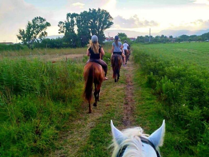 Zakynthos: Yotomu Horseback Riding Tour - Final Thoughts: Is it Worth It?