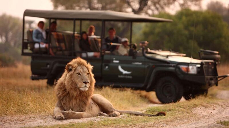 Zambezi 3hr Game Drive - Practical Tips for Your Game Drive