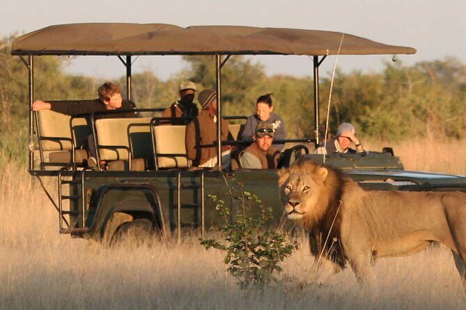 Zambezi National Park AM or PM Game Drive - Who Is This Tour Best For?