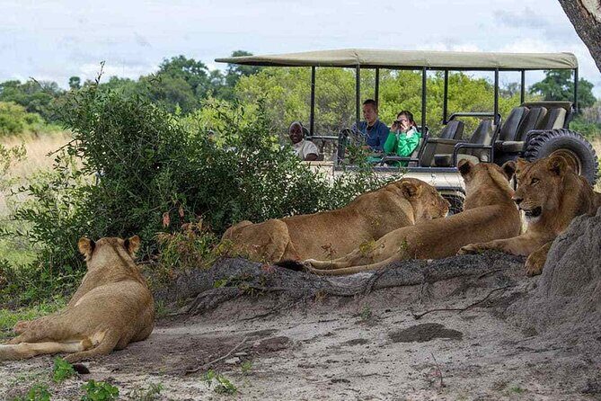 Zambezi National Park AM or PM Game Drive - The Sum Up: Is It Worth It?