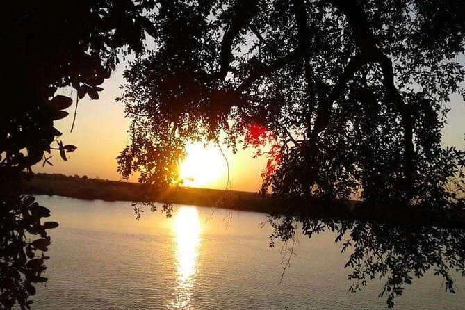 Zambezi Sundowner Cruise - Final Thoughts