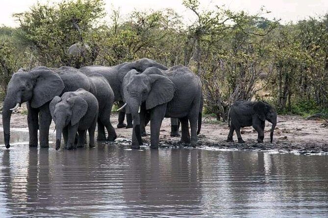 Zambezi Sundowner Cruise - FAQs