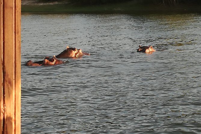 Zambezi Sunset Cruise - Victoria Falls - Critical Considerations